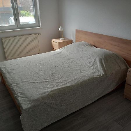 Appartement 3 Pieces Avec Balcon Rhinau Buitenkant foto